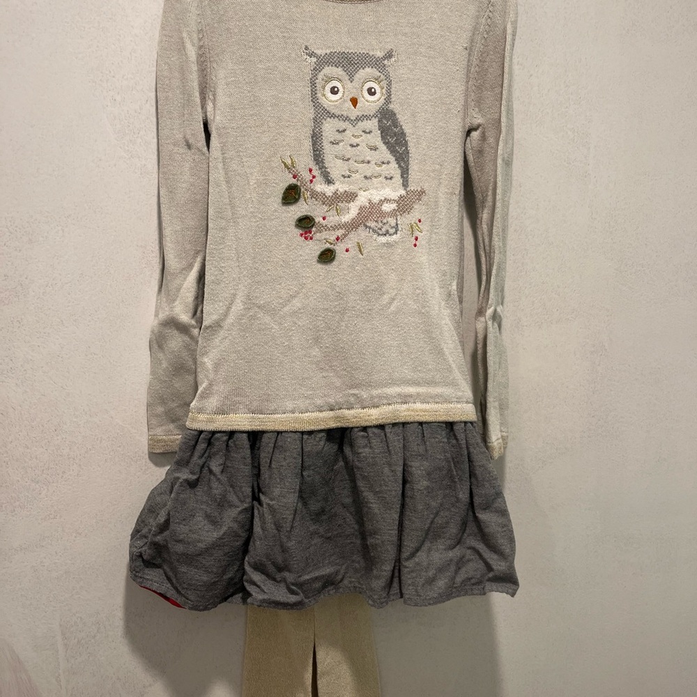 Tahari Gray Long Sleeve Kids Dress with Owl Design & Matching Tights
